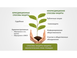 Инфографика: Как защитить свои права в сфере экологии?