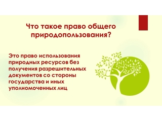 Подготовлена инфографика о праве общего природопользования